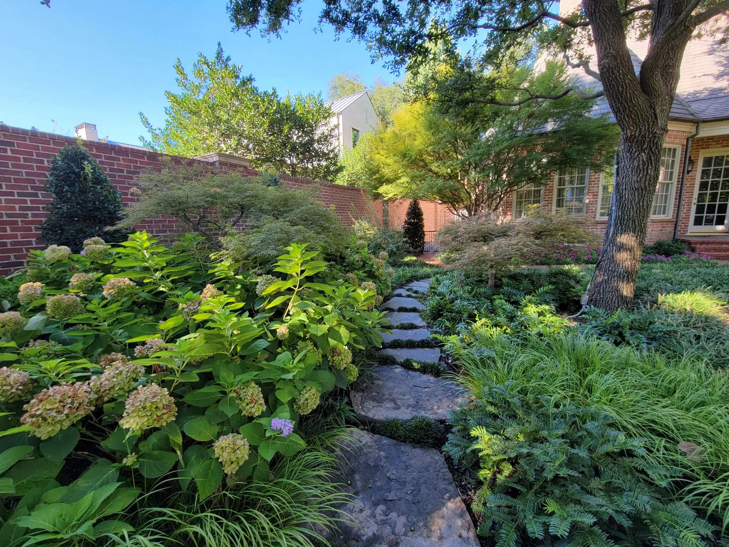 Landscape Design DFW