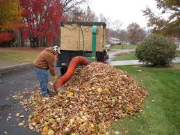 Leaf Cleanup project 6 in Mansfield