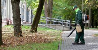 Leaf Cleanup project 7 in Mansfield