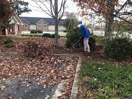 Leaf Cleanup project 5 in Mansfield