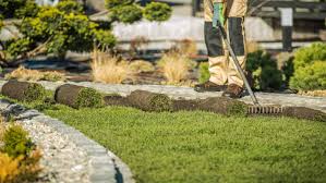 Sod Installation project 7 in Mansfield