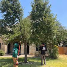 Tree Planting project 2 in Mansfield