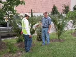 Tree Planting project 3 in Mansfield