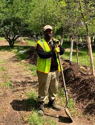 Tree Planting project 4 in Mansfield